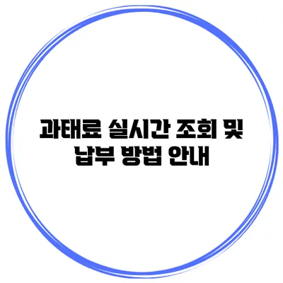 과태료 실시간 조회 및 납부 방법 안내