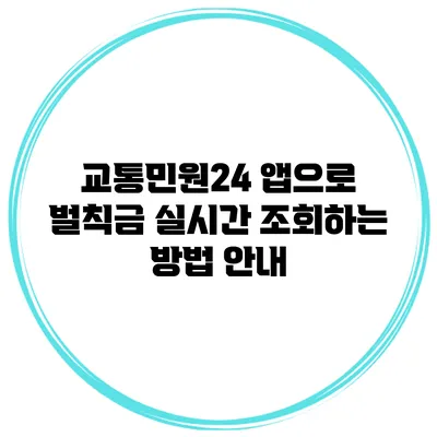 교통민원24 앱으로 벌칙금 실시간 조회하는 방법 안내