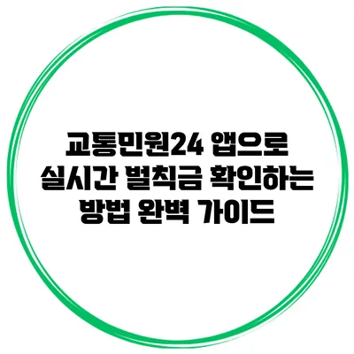 교통민원24 앱으로 실시간 벌칙금 확인하는 방법 완벽 가이드