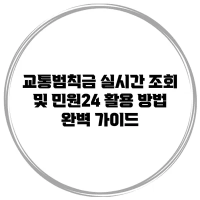 교통범칙금 실시간 조회 및 민원24 활용 방법 완벽 가이드