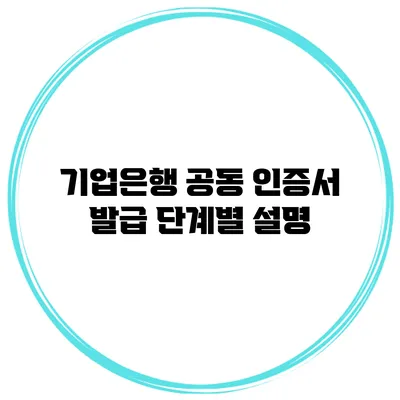 기업은행 공동 인증서 발급 단계별 설명