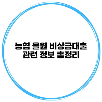 농협 올원 비상금대출 관련 정보 총정리