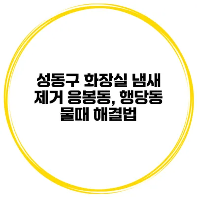 성동구 화장실 냄새 제거 응봉동, 행당동 물때 해결법