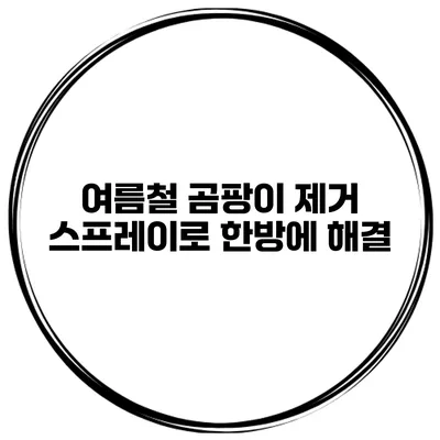 여름철 곰팡이 제거 스프레이로 한방에 해결