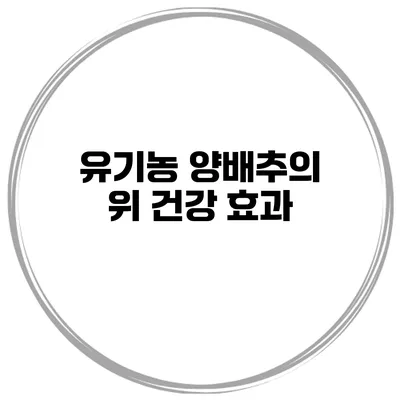 유기농 양배추의 위 건강 효과