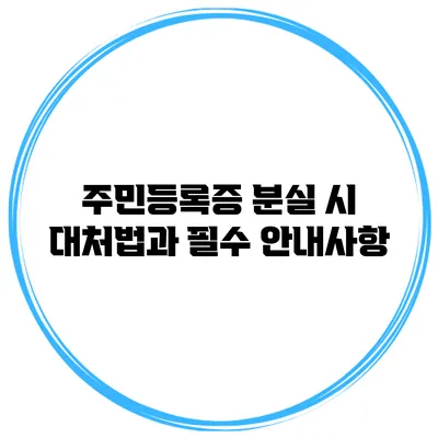 주민등록증 분실 시 대처법과 필수 안내사항