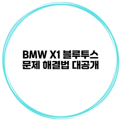 BMW X1 블루투스 문제? 해결법 대공개