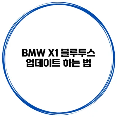 BMW X1 블루투스 업데이트 하는 법