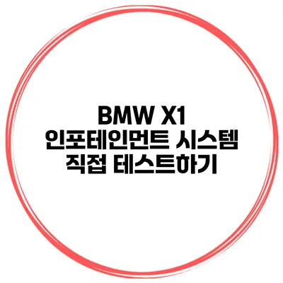 BMW X1 인포테인먼트 시스템 직접 테스트하기