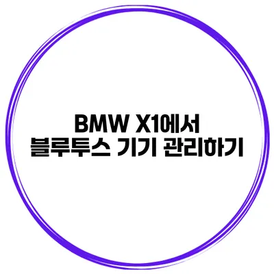 BMW X1에서 블루투스 기기 관리하기